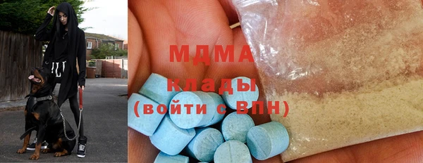 гашик Алексин