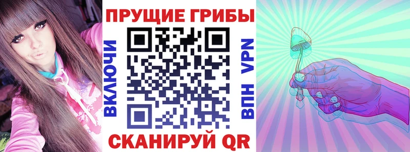 Псилоцибиновые грибы Magic Shrooms  закладка  Кочубеевское 